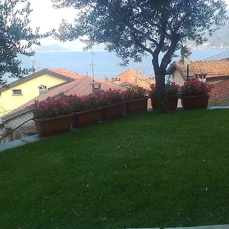 Ulivi * Argegno