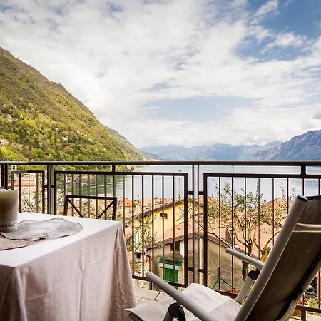Daire Ulivi